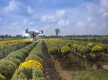 Dron en cultivo de flores