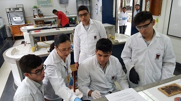 Tipo D Ateneo upbbga