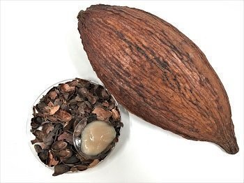 Residuos del cacao