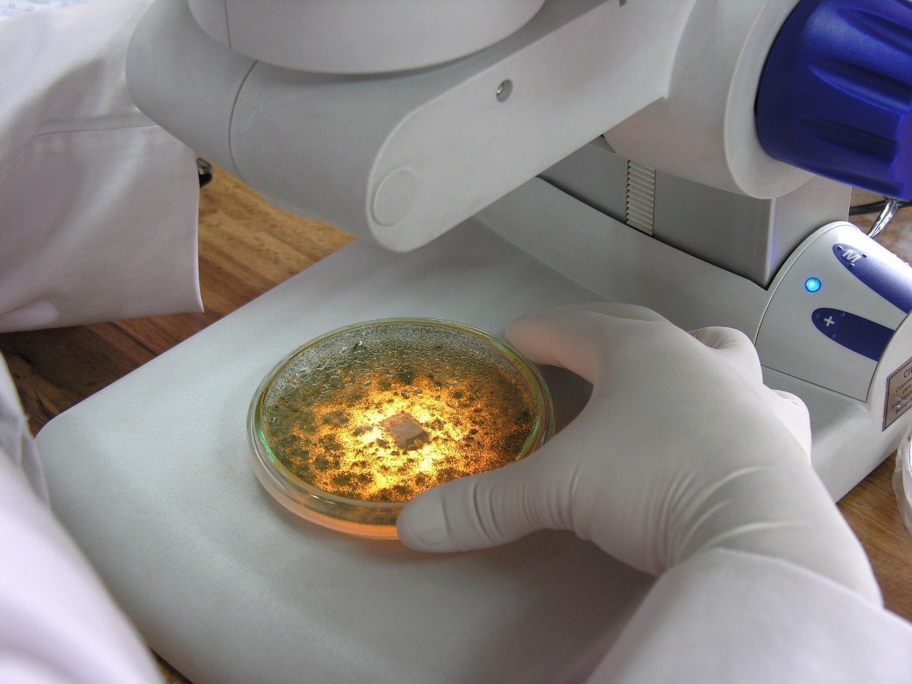 Firma convenio UPB y VAXTHERA