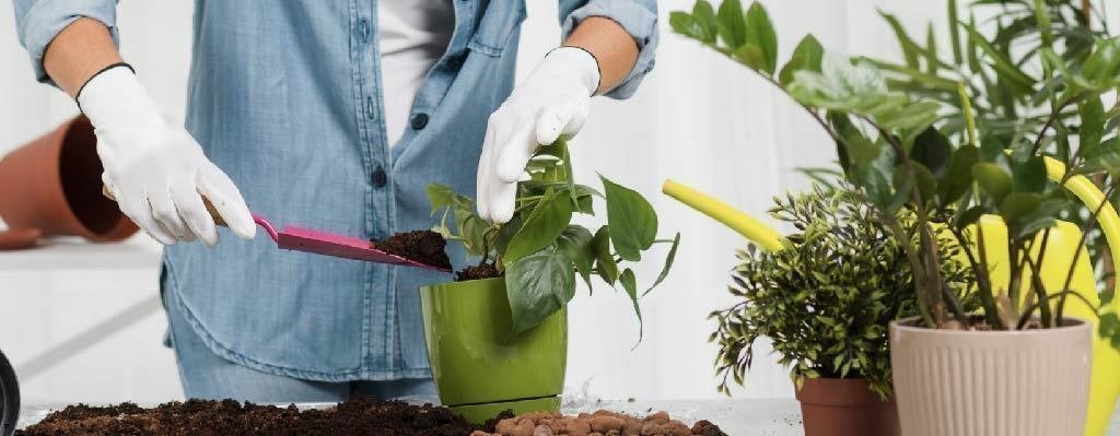 Curso Básico de Jardinería