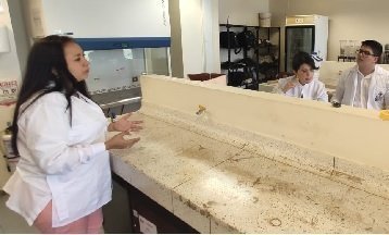 CursoNanociencia_TipoD2