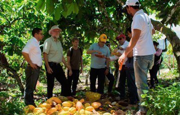 Investigadores Colombianos y Alemanes