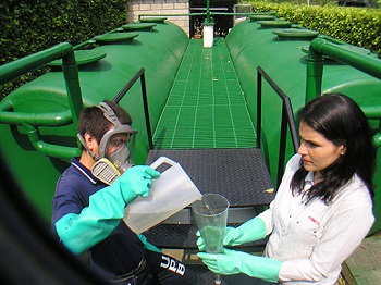 Tipo D ambiental