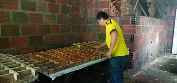 TIPO D MULA