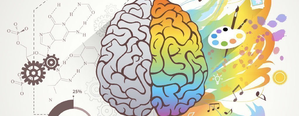 Diplomado de Especialización en Neurociencia y Creatividad BRAINBOX®: Todos Podemos Ser Creativos