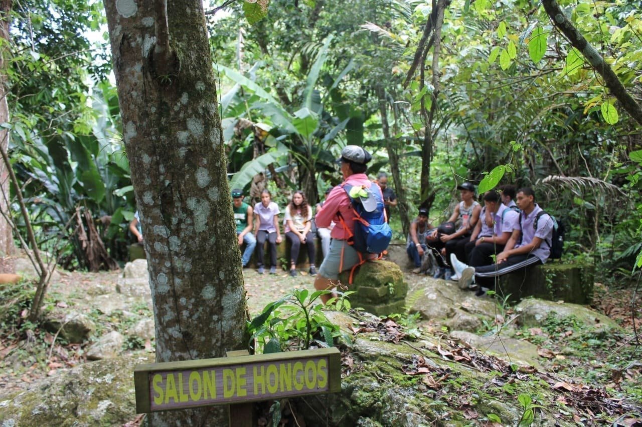 Bosque Escuela La Olimpia, espacio de conservación de Casa Pueblo.