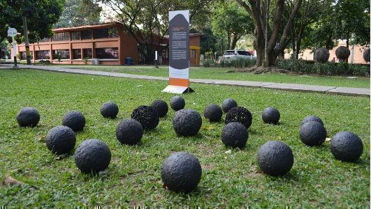 exposición en las zonas verdes del Campus