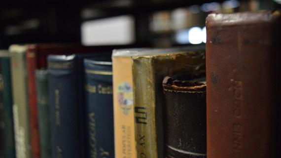 detalle de libros en una biblioteca