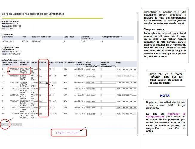 Paso a paso del ingreso de notas 