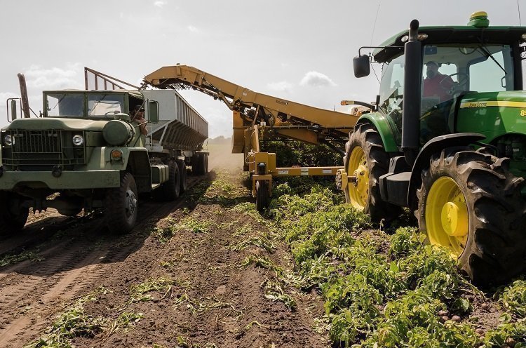 Tractor en cultivo