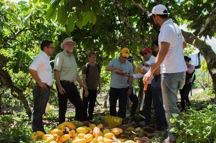 Investigadores Colombianos y Alemanes