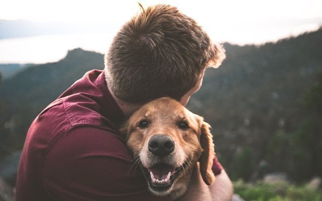 persona abrazando a un perro