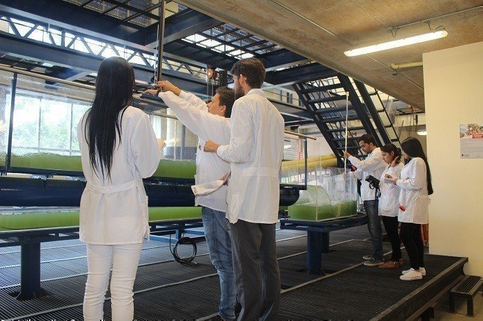 JovenesInvestigadores_Interna1.1