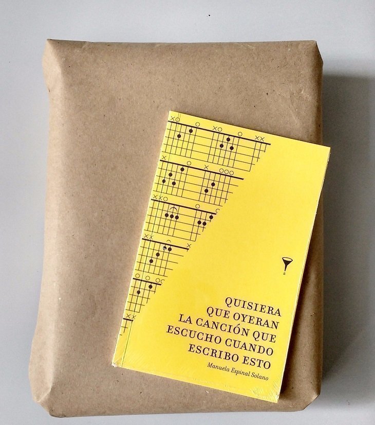 Libro de Manuela Espinal Solano 