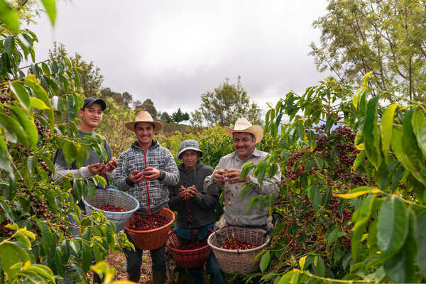 Avances del sector cafetero desde la unidad de extensión de la UPB