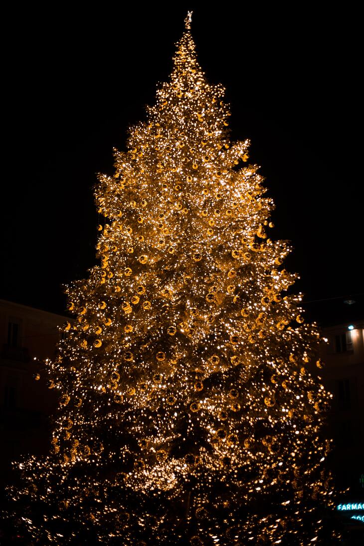 Árbol Navideño