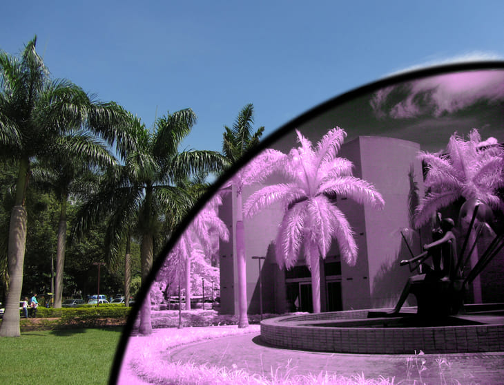 Viendo lo Invisible. Autor: Hernán Toro 