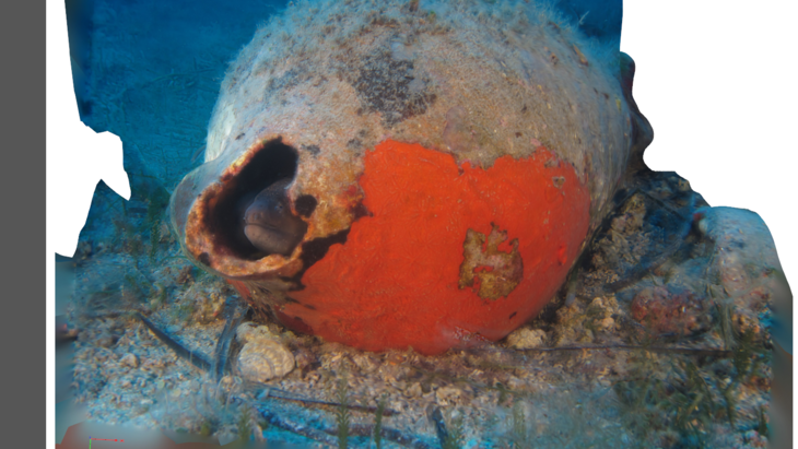 Imagen procesada con técnicas de fotogrametría de un ánfora en el Mediterráneo. Tomada y procesada durante los estudios de doctorado de la profesora Paula Zapata en Ustica, Italia.