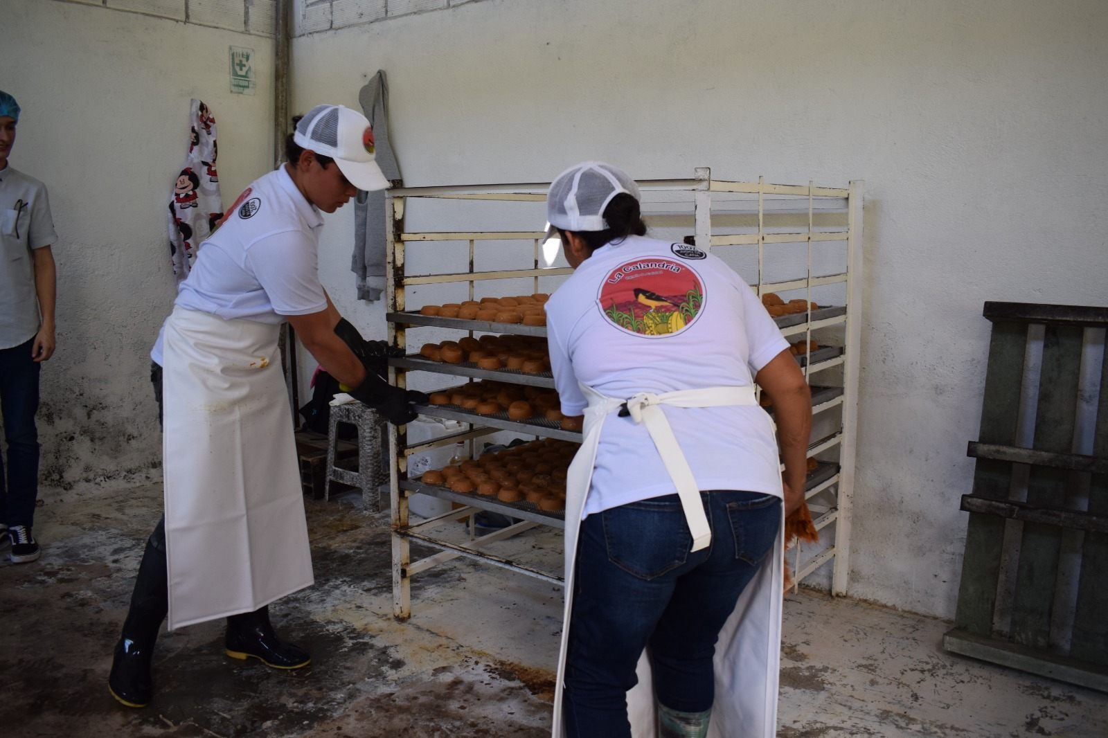 Industria de la panela