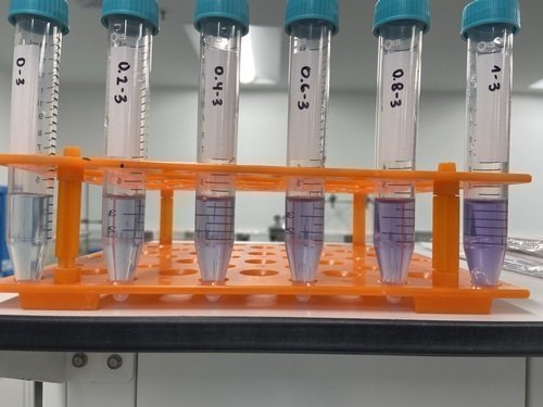 Proyecto sobre la biomasa del fique como almacenamiento de energia