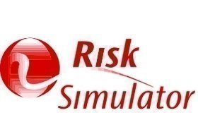 Risk Simulator