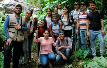 ambiental 