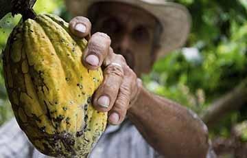 La UPB lidera encuentro del sector agrícola de la región para socializar sistema nacional de innovación agropecuaria 