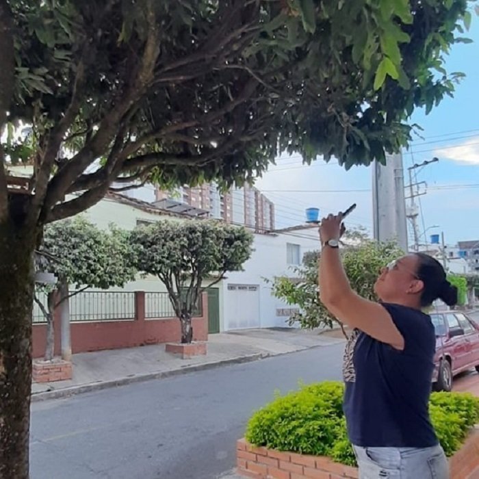 FOTO TIPO In2 CIUDADADANOS CIENTIFICOS