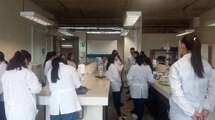 Foto Tipo In2 visita semillero