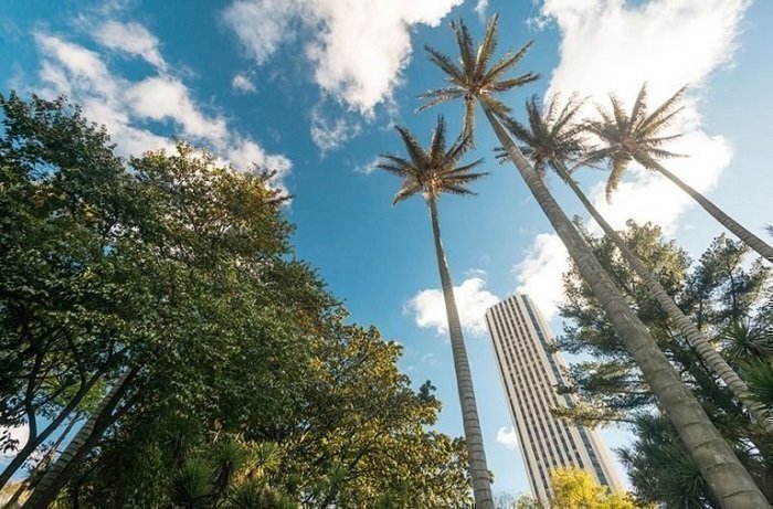 Foto interna medio ambiente