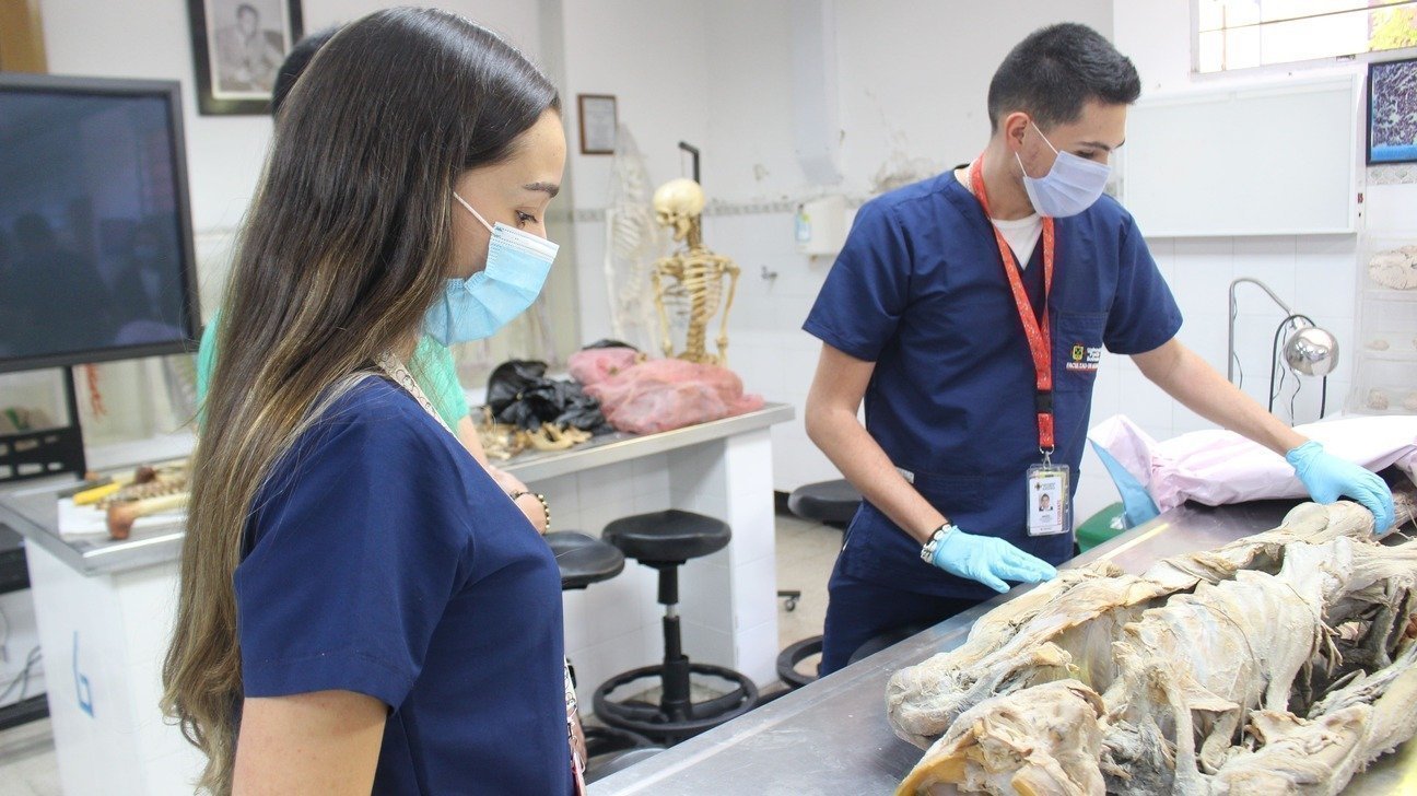 UPB se destaca en ranking mundial de las mejores universidades en el área de salud