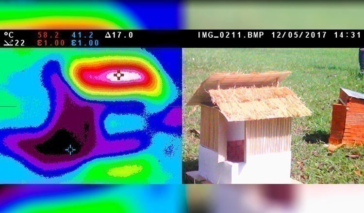 Un diseño amigable con el entorno crea un mundo mejor, en UPB la Arquitectura Bioclimática ayuda a lograrlo