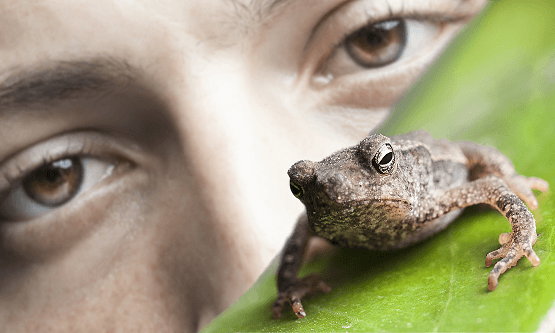 Especialización en Preservación y Conservación de los Recursos Naturales